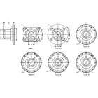 3-1-1151 Dana Holding Corporation Companion Flange