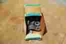 4-3882979 Gm Drive Shaft Retainer U-bolts In Box Nib
