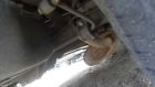 45749 Chergrand 99 00 01 02 03 Jeep Grand Cherokee Rear Drive Shaft 4x2 4.0l