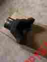 D44-1310-26u Yukon Gear Yy Yoke Dana 30 44 50 300 W 26 Spline A 1310 U Joint