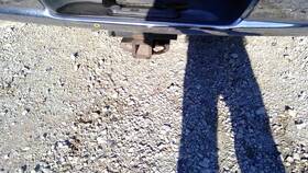 431-04981 Dodge Truck Rear Drive Shaft 2wd Regular Cab 2 Door Fits 02-04 1500 Pickup 5450690