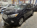 Used Rear Drive Shaft Fits: 2019 Ford Escape. Fixed Price $262.50.