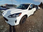 Rear Drive Shaft Awd 2.5L Fits 20-25 Escape 12651937. Fixed Price $242.84.