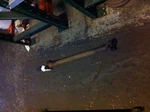 98-00 Chevrolet Chevy Tahoe Front Drive Shaft Classic Style 4L60E Transmission. Fixed Price $145.80.