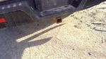 Rear Drive Shaft 141.0" Wb Assembly 5.0L 4WD Fits 18-20 Ford F150 Pickup 5371170. Fixed Price $260.00.