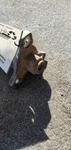 Rear Drive Shaft Awd Thru 2/07 Fits Bmw 328I 1145780. Fixed Price $114.90.