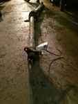 Rear Drive Shaft Fits 97-01 Catera 71010. Fixed Price $57.50.