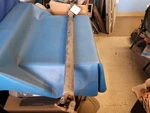 Rear Drive Shaft 4WD Automatic Transmission Door Fits 91-94 Explorer 184136. Fixed Price $149.85.