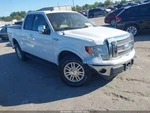 Rear Drive Shaft 145" Wb Automatic 2WD 4.6L 3V Fits 09 Ford F150 Pickup 3806407. Fixed Price $350.00.