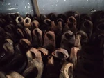 Used 1710 Series Dana Spicer Spline Yoke 6-4-6611. Fixed Price $75.00.
