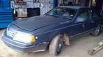 Rear Drive Shaft 6-232 3.8L Fits 83-88 Cougar 10281947. Fixed Price $158.80.