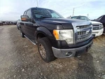 Rear Drive Shaft 145" Wb Assembly 4WD 3.7L Fits 13-14 Ford F150 Pickup 11578282. Fixed Price $278.84.