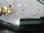 Rear Drive Shaft Automatic Transmission 5.7L Fits 09-14 Challenger 262841. Fixed Price $65.00.