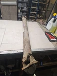 1997-2002 Ford Expedition Rear 4X4, 5.4L Drive Shaft Id XL14-AA. Fixed Price $158.09.