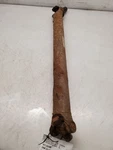 Jeep Cherokee, 4X4 Rear Drive Shaft, 1993-1995, 4.0L, V6, Mt, 5-SPEED, Oem. Fixed Price $83.93.