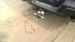 Rear Leaf Spring Crew Cab 145.00" Wb Fits 17-20 Ford F150 Raptor 5177219. Fixed Price $446.00.