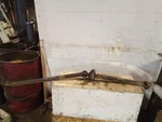 Rear Drive Shaft Automatic Transmission ZF22 Fits 85-90 Volvo 740 616256. Fixed Price $260.99.